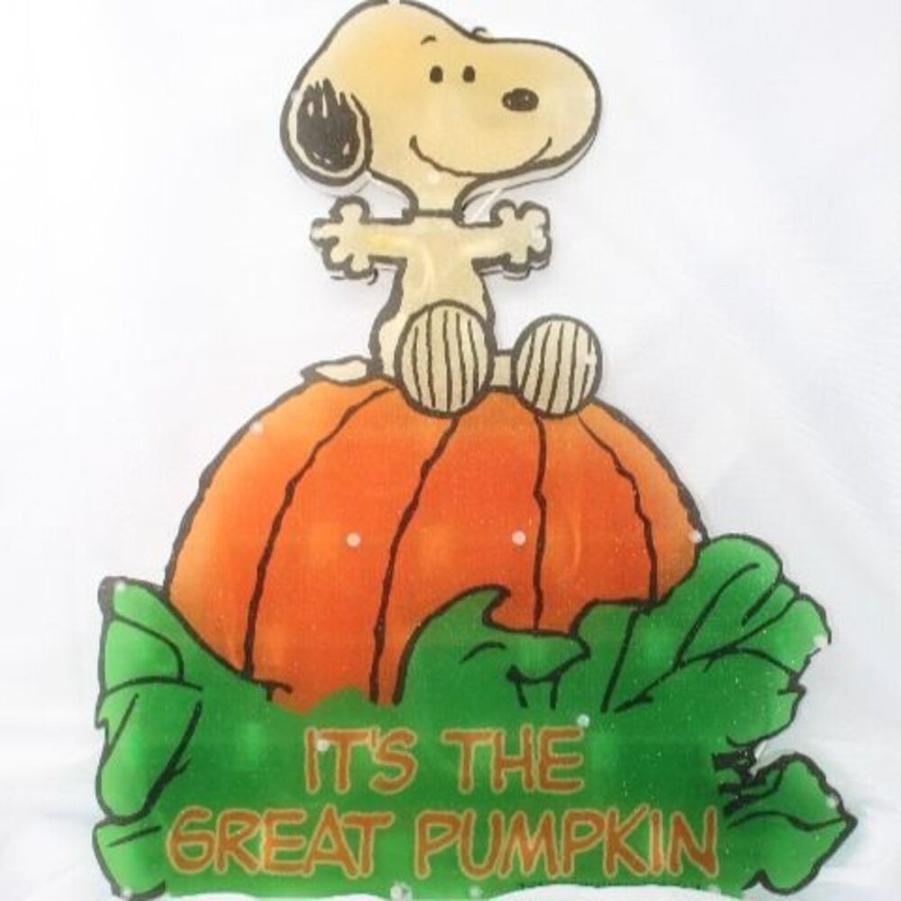 VTG Snoopy Peanuts "It's The Great Pumpkin" Twinkling Lights From 1980's Works!